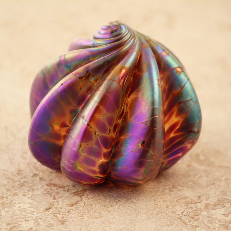 Large-Gold-Oceana-Anemone-Twist