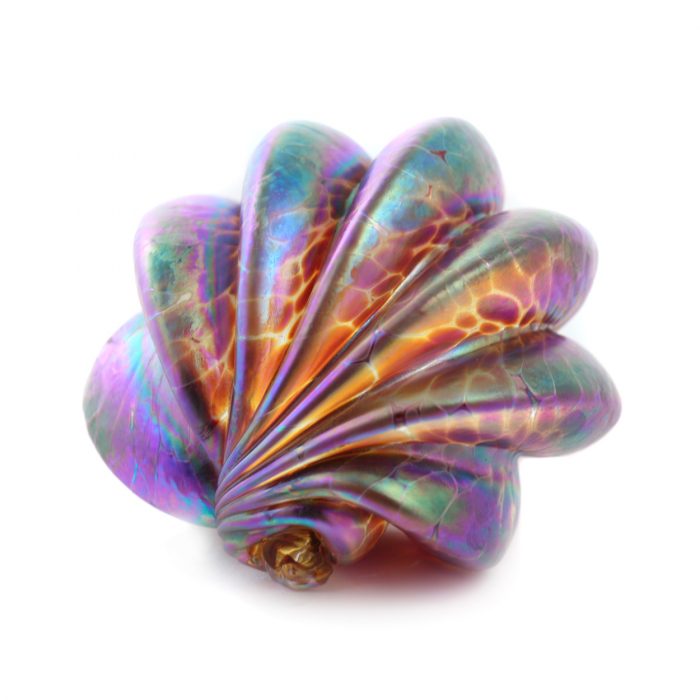 Shell Paperweight