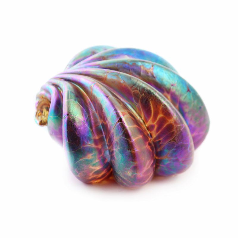 Large-Gold-Oceana-Shell-Weight-Sideview