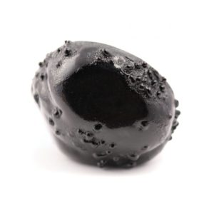Small-Inscape-Geode-Black-Shell-Backside--768x768